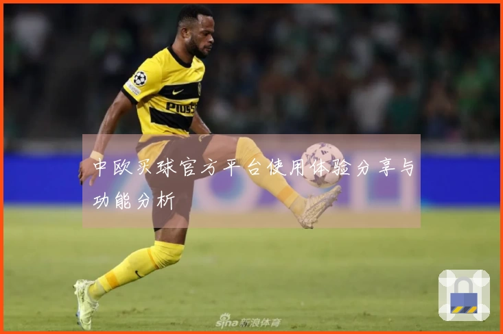 中欧买球官方平台使用体验分享与功能分析