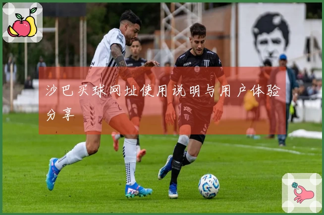 沙巴买球网址使用说明与用户体验分享