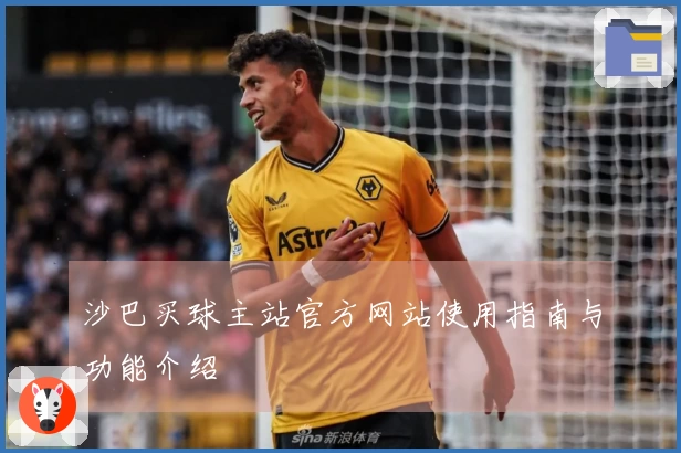 沙巴买球主站官方网站使用指南与功能介绍