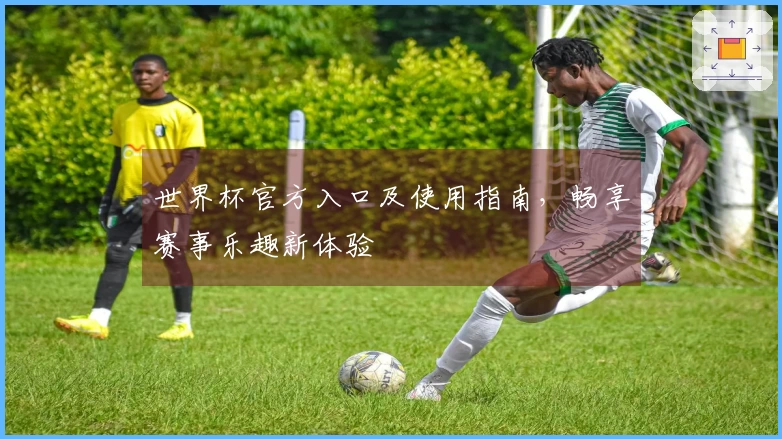 世界杯官方入口及使用指南，畅享赛事乐趣新体验