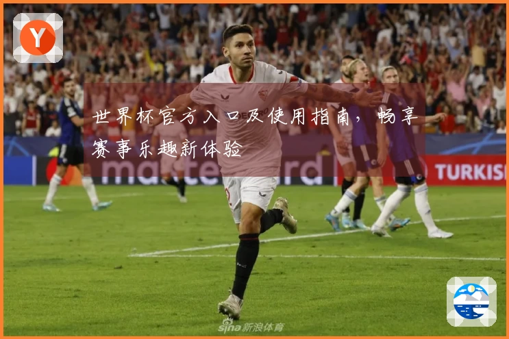 世界杯官方入口及使用指南，畅享赛事乐趣新体验