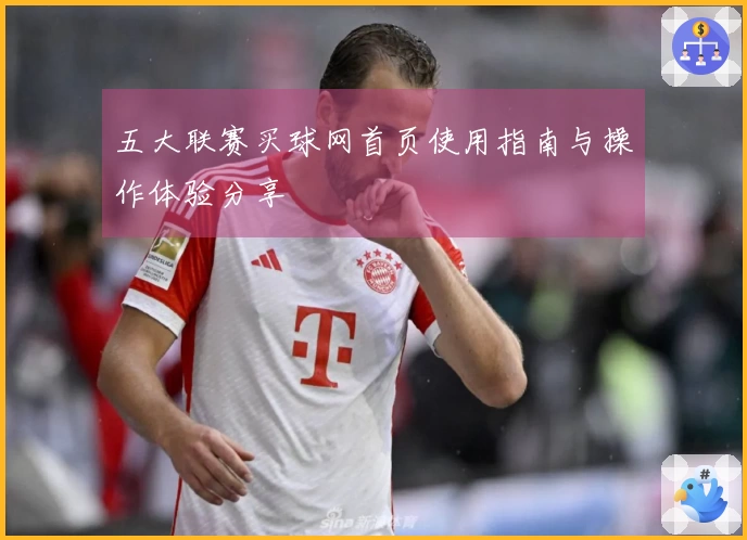 五大联赛买球网首页使用指南与操作体验分享