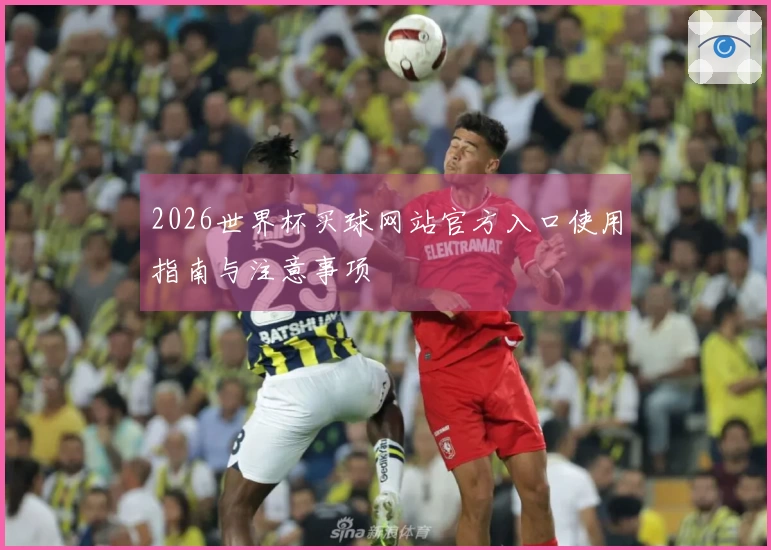2026世界杯买球网站官方入口使用指南与注意事项