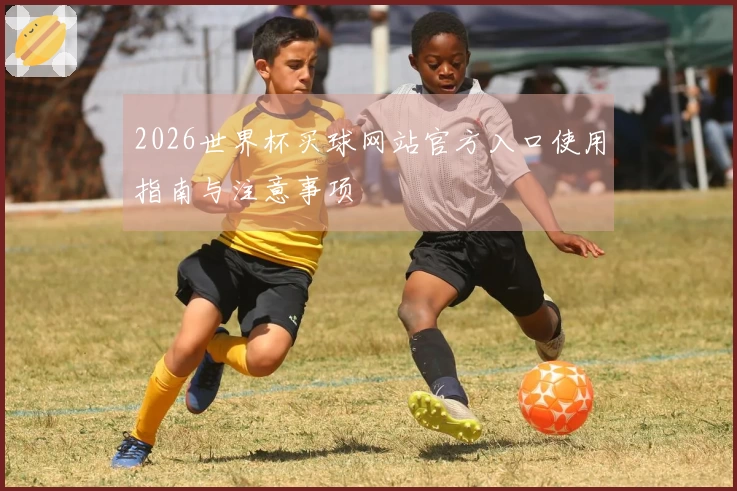 2026世界杯买球网站官方入口使用指南与注意事项